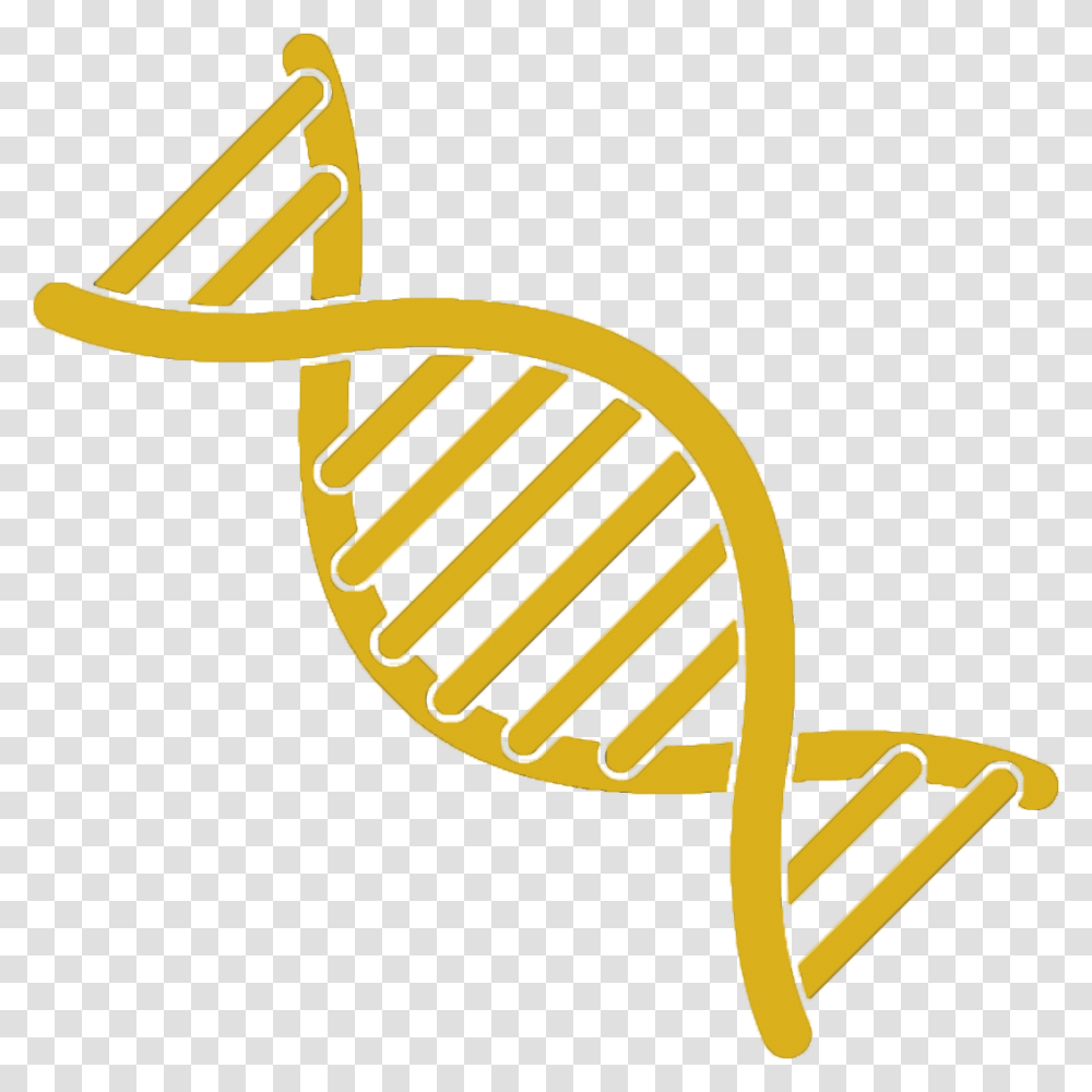 Dna Strand Clipart Clipart Dna, Bow, Animal, Halibut, Sea Life Transparent Png