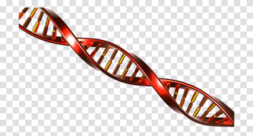 Dna String Red And Yellow, Racket, Tennis Racket, Bow, Sport Transparent Png