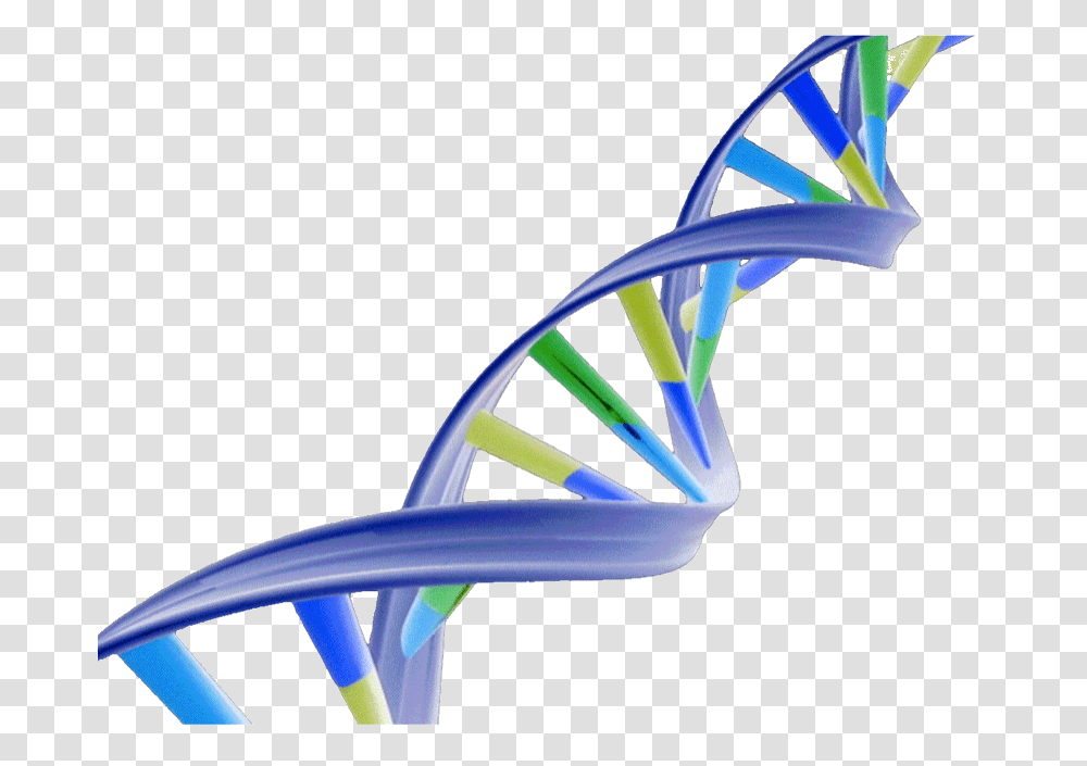 Dna Structure Clipart, Chair, Furniture, Water Transparent Png
