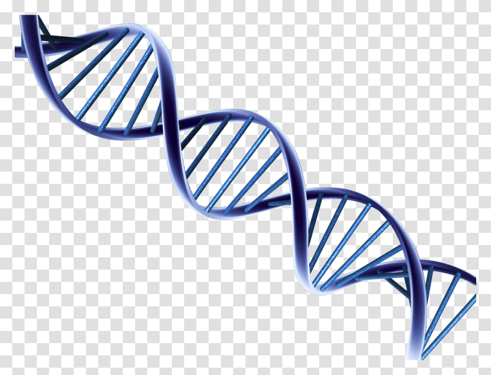 Dna Structure Clipart Clipart Background, Chair, Furniture, Mixer, Appliance Transparent Png