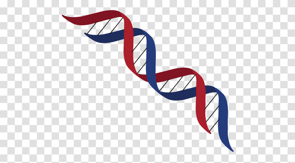 Dna Structure Clipart, Dynamite, Bomb, Weapon, Weaponry Transparent Png