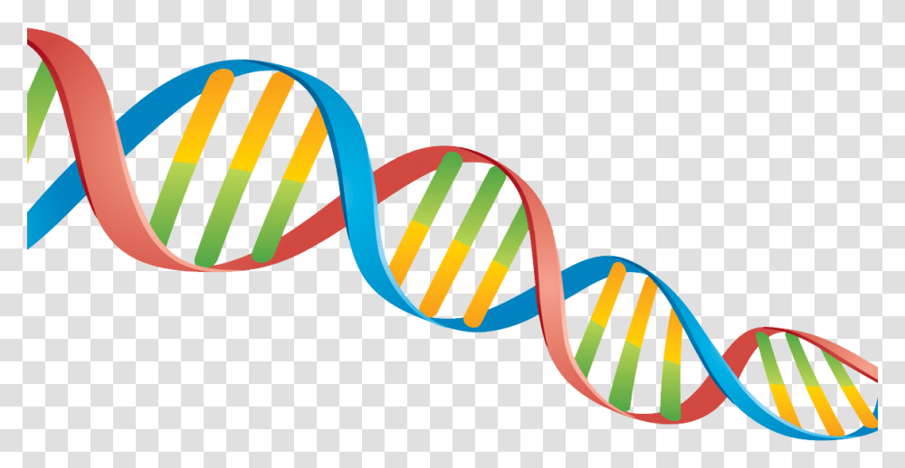 Dna, Sunglasses, Accessories, Accessory Transparent Png