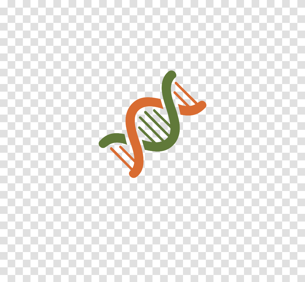 Dna, Dynamite, Logo Transparent Png