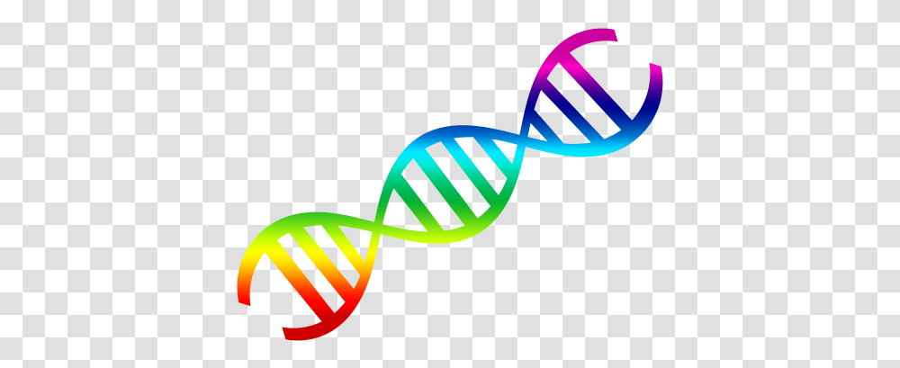 Dna, Hand Transparent Png