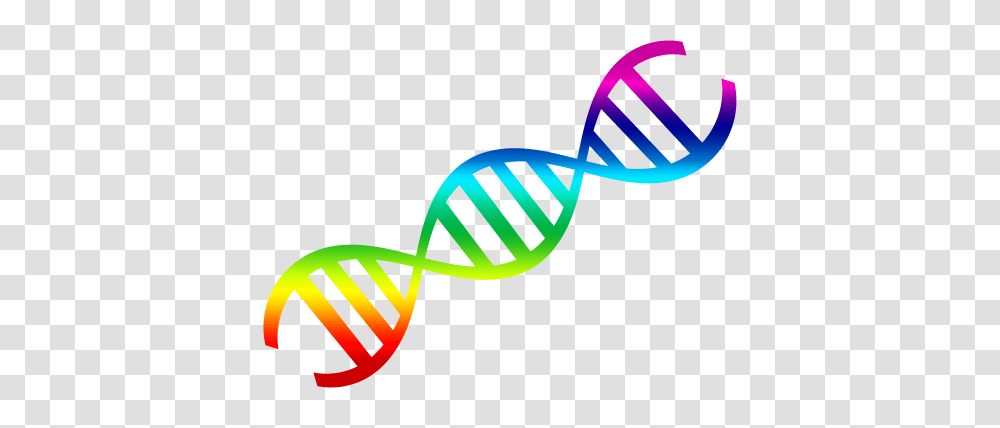 Dna, Knot, Label, Hand Transparent Png