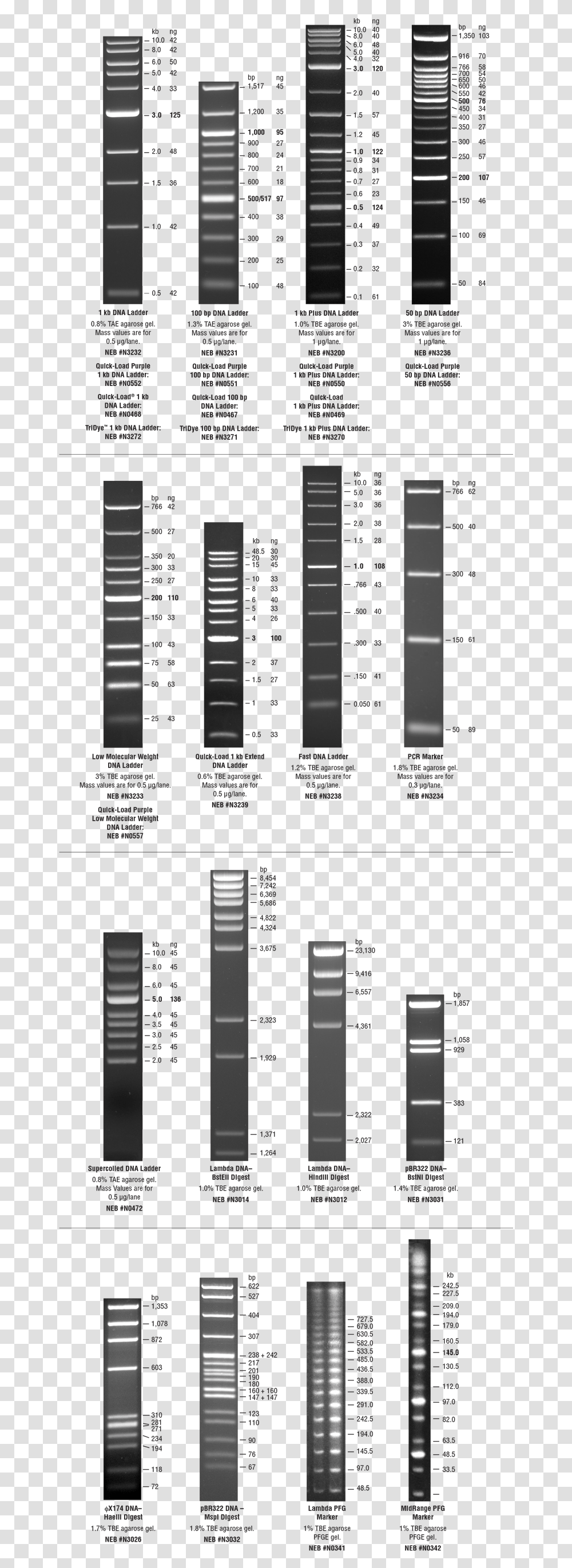 Dna, Number, Outdoors Transparent Png