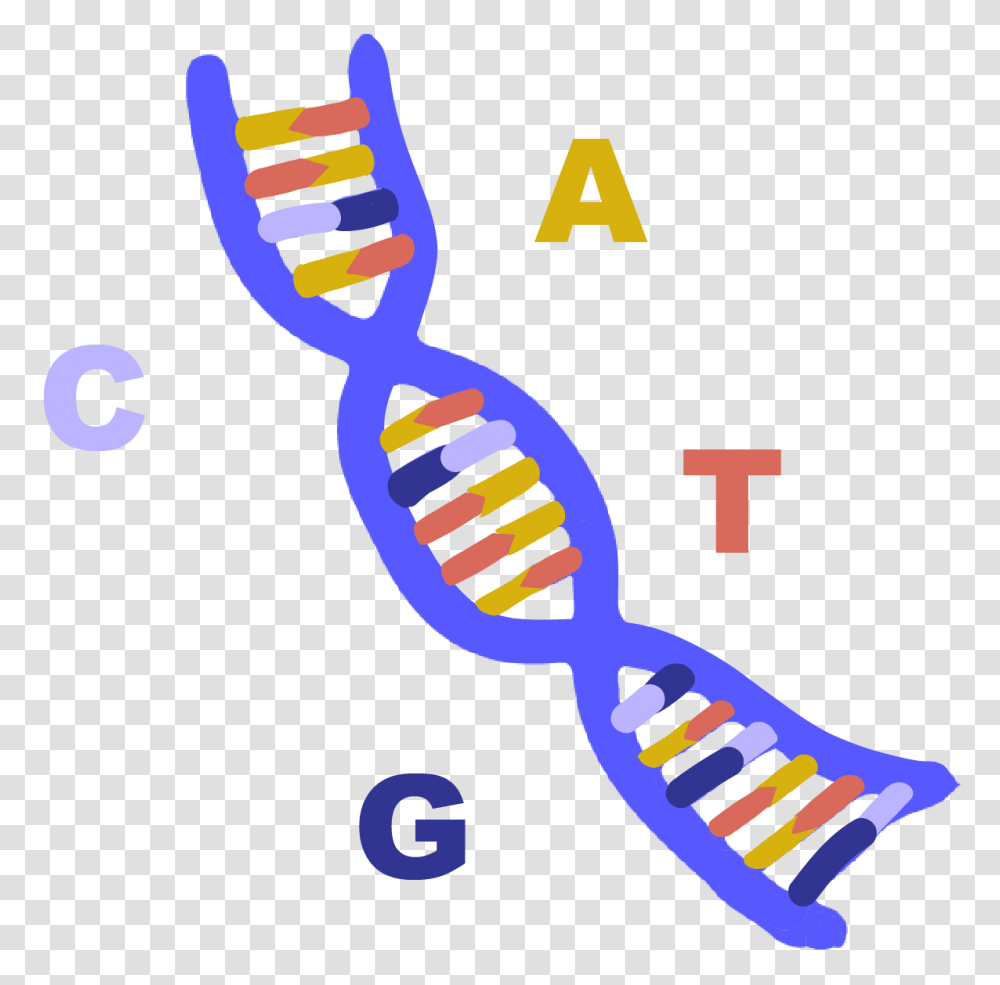 Dna, Toothbrush, Tool, Toothpaste Transparent Png