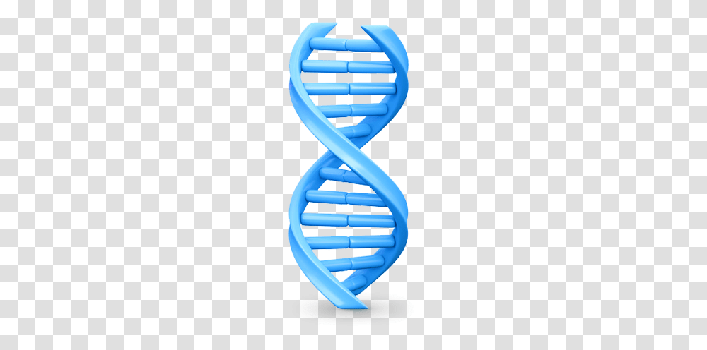 Dna, Toothbrush, Tool, Toothpaste Transparent Png