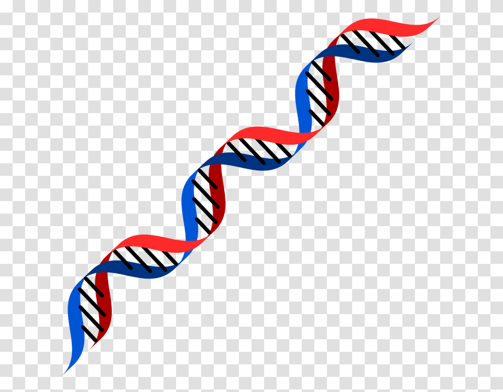 Dna, Toy, Kite, Outdoors, Nature Transparent Png