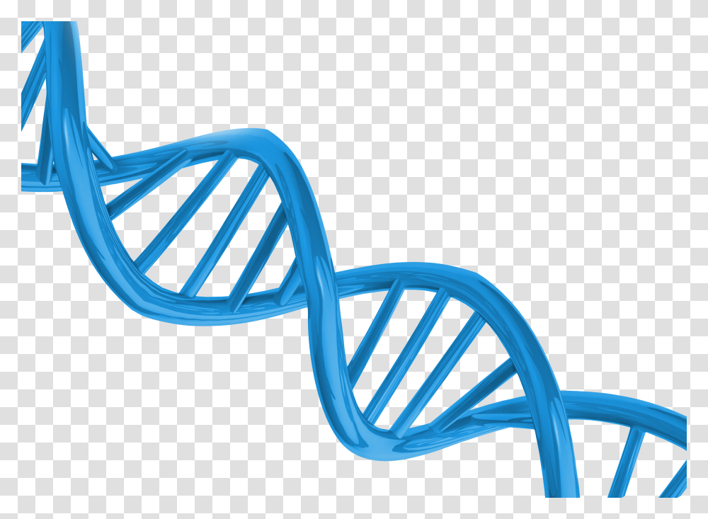 Dna Transparent Png