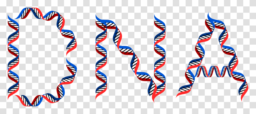 Dna Typography Icons, Interior Design, Indoors Transparent Png