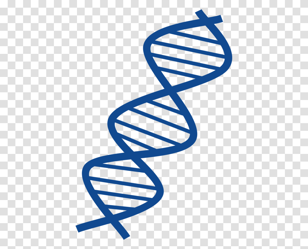 Dna Vector Molecular Structure Of Nucleic Acids A Structure, Spiral, Coil, Alphabet Transparent Png