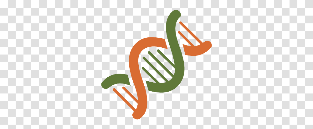 Dna Waterfowl, Leisure Activities, Musical Instrument, Animal, Doodle Transparent Png