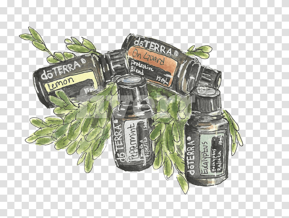 Do A Watercolor And Ink Illustration Of Whatever You Glass Bottle, Plant, Grenade, Vegetable, Food Transparent Png