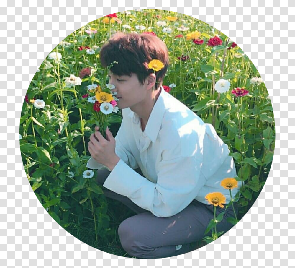 Do Not Use Without Giving Credit Jongin Flowers, Person, Plant, Petal, Female Transparent Png
