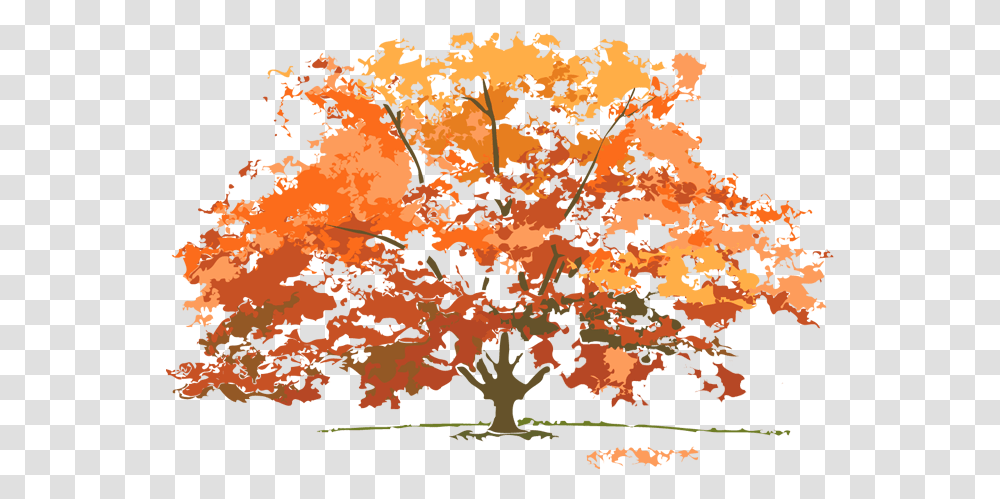 Do Trees Look Like In Each Season, Plant, Nature, Outdoors, Rug Transparent Png