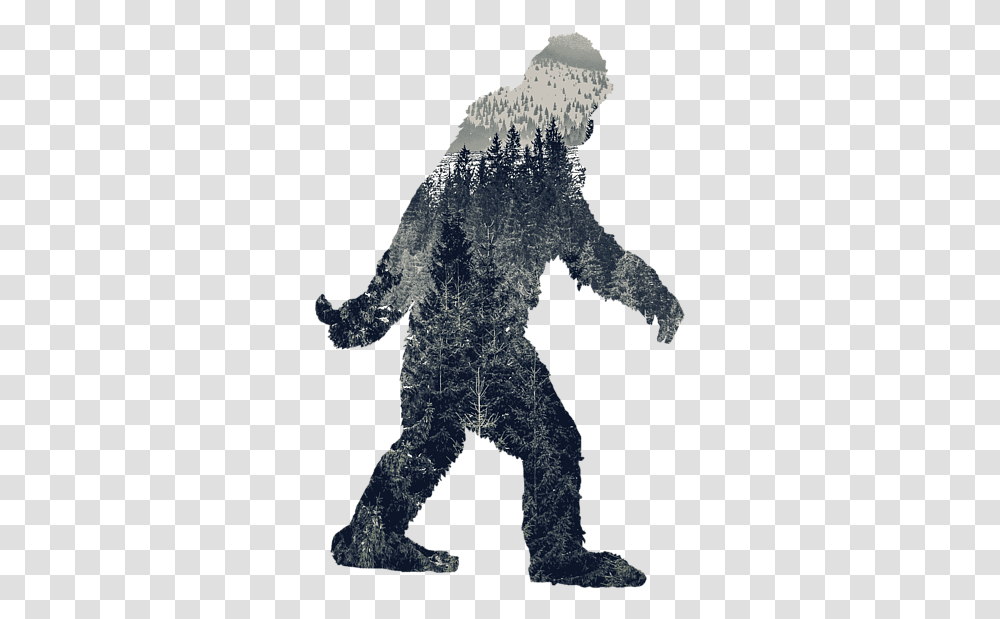 Do You Believe In Bigfoot, Outdoors, Nature, Pattern, Silhouette Transparent Png