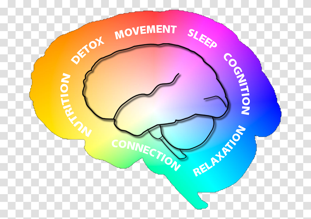 Do You Have A Rainbow Brain, Helmet, Apparel, Sphere Transparent Png