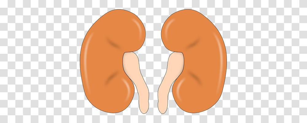 Do You Know Your Kidneys Matter Befantastico, Heel, Photography, Footprint, Food Transparent Png