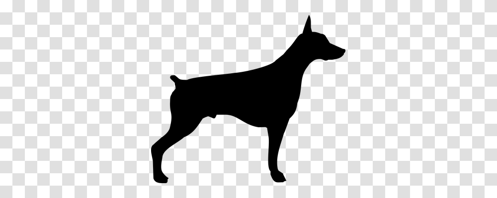 Doberman Animals, Gray, World Of Warcraft Transparent Png