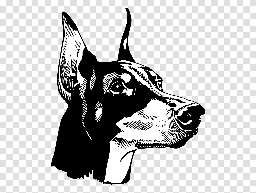 Doberman Head Black And White, Snout, Stencil, Pet, Animal Transparent Png
