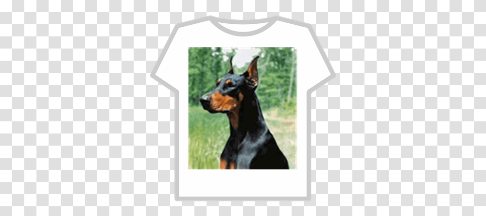 Doberman Pinscher Roblox Buzz Lightyear Hoodie T Shirt Roblox, Hound, Dog, Pet, Canine Transparent Png