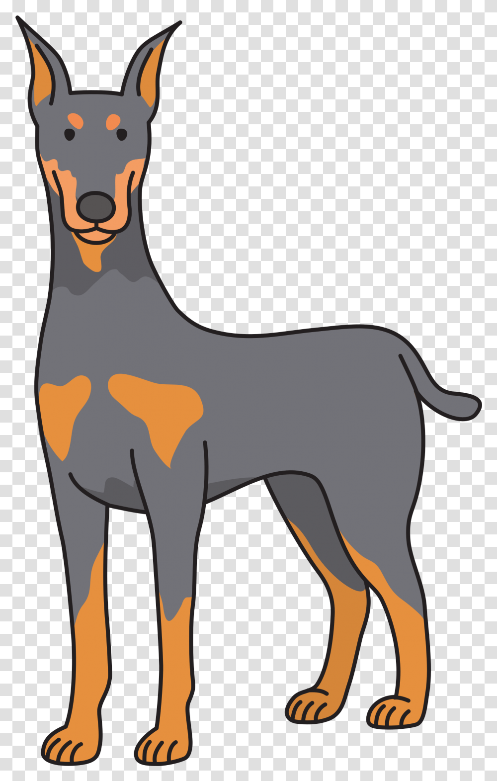 Dobermann Art Dog Transprent Graphic Library Download Doberman Clipart, Mammal, Animal, Pet, Canine Transparent Png