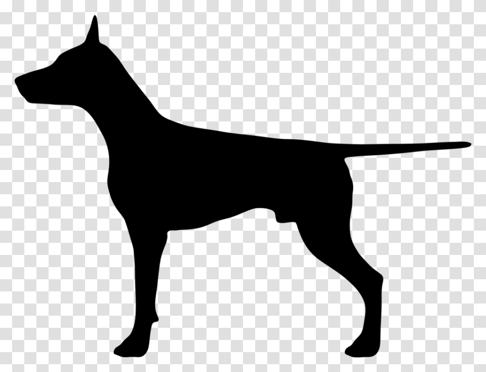 Dobermann German Shepherd Cat Bulldog Pet, Gray, World Of Warcraft Transparent Png
