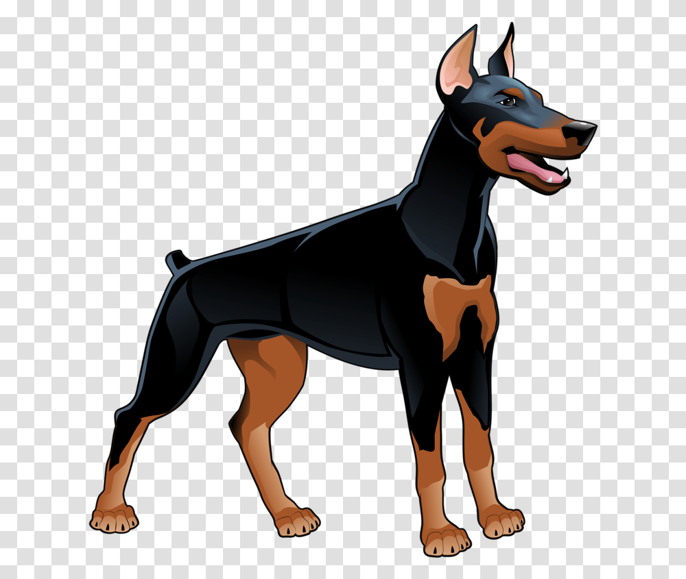 Dobermans Dog Illustrations Vector, Mammal, Animal, Pet, Canine Transparent Png