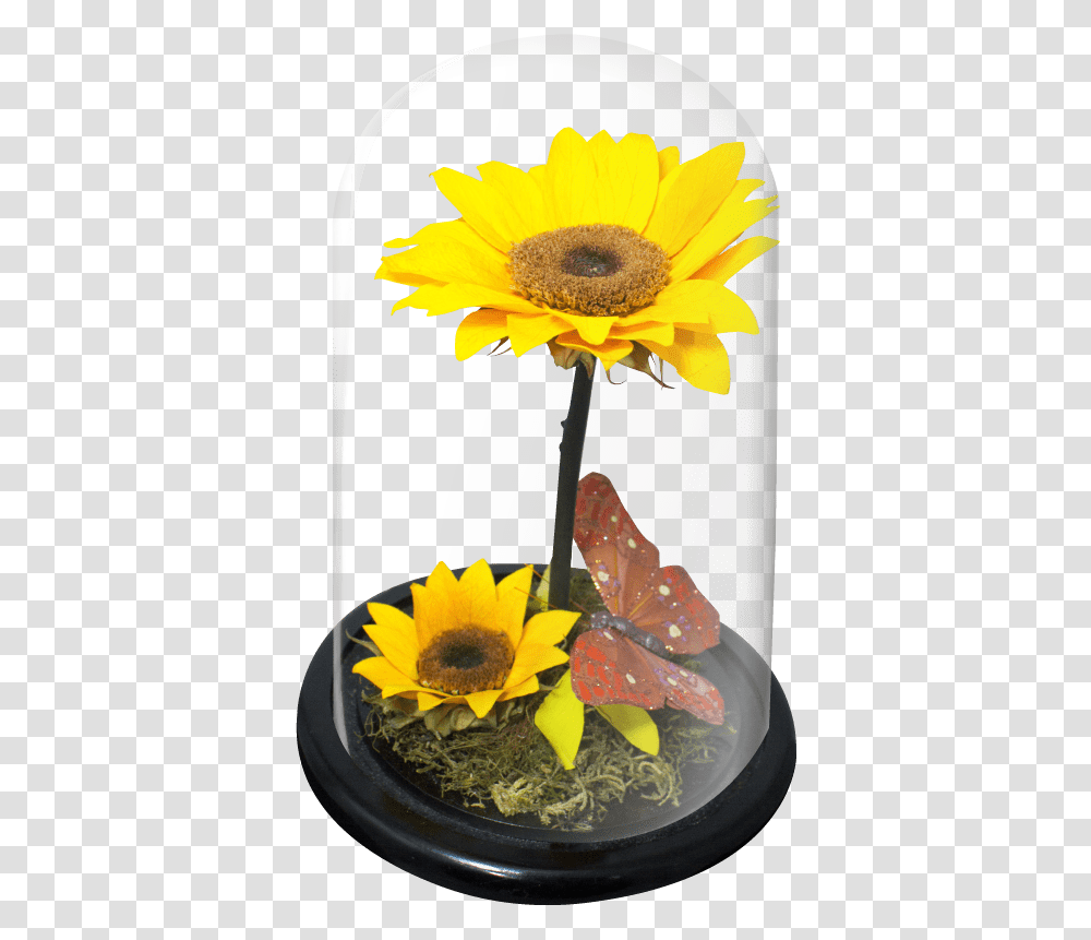 Doble Girasol Wb Sunflower, Plant, Blossom, Lobster, Seafood Transparent Png