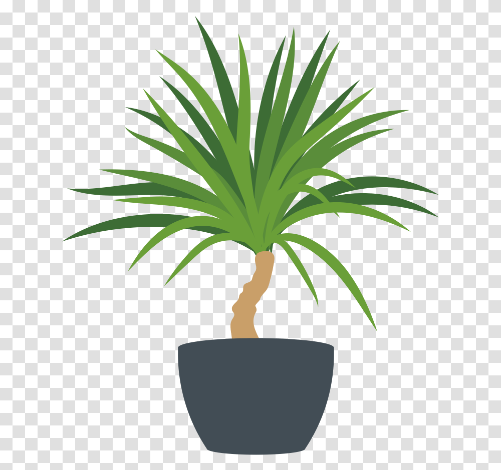 Docs Flowerpot, Palm Tree, Plant, Arecaceae, Vegetation Transparent Png