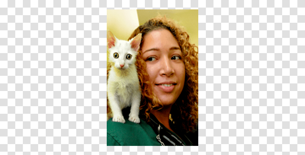 Doctor Christina East At Riverside Animal Hospital Kitten, Cat, Pet, Mammal, Person Transparent Png