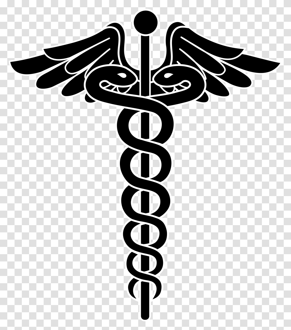 Doctor Logo, Spider Web Transparent Png