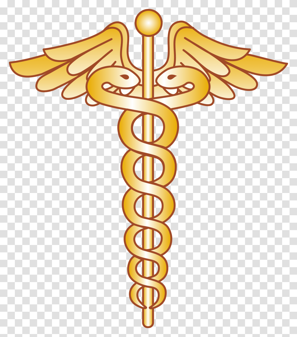 Doctor Snake Logo Doctor Logo, Cross, Emblem, Spiral Transparent Png