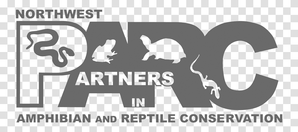 Doctor Snake Logo Southeast Partners In Amphibian And Reptile Conservation, Animal, Mammal, Wildlife Transparent Png