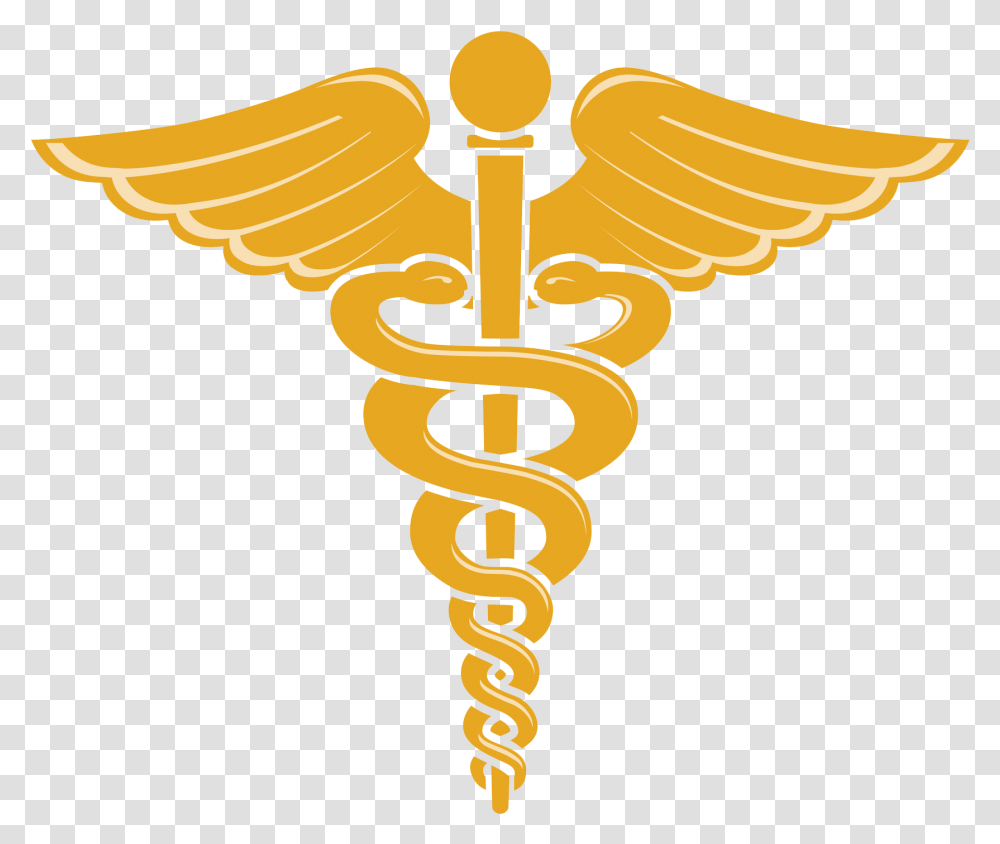 Doctor Symbol Caduceus File Doctor Symbol, Emblem, Logo, Trademark, Cross Transparent Png