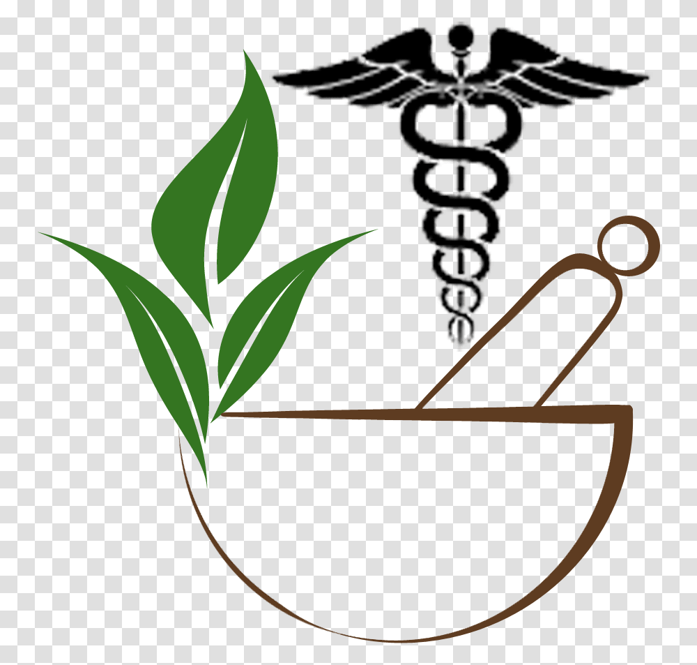 Doctor Symbol Clipart Download Hipaa Compliance Logo Vector, Bow, Pottery, Vegetation, Plant Transparent Png