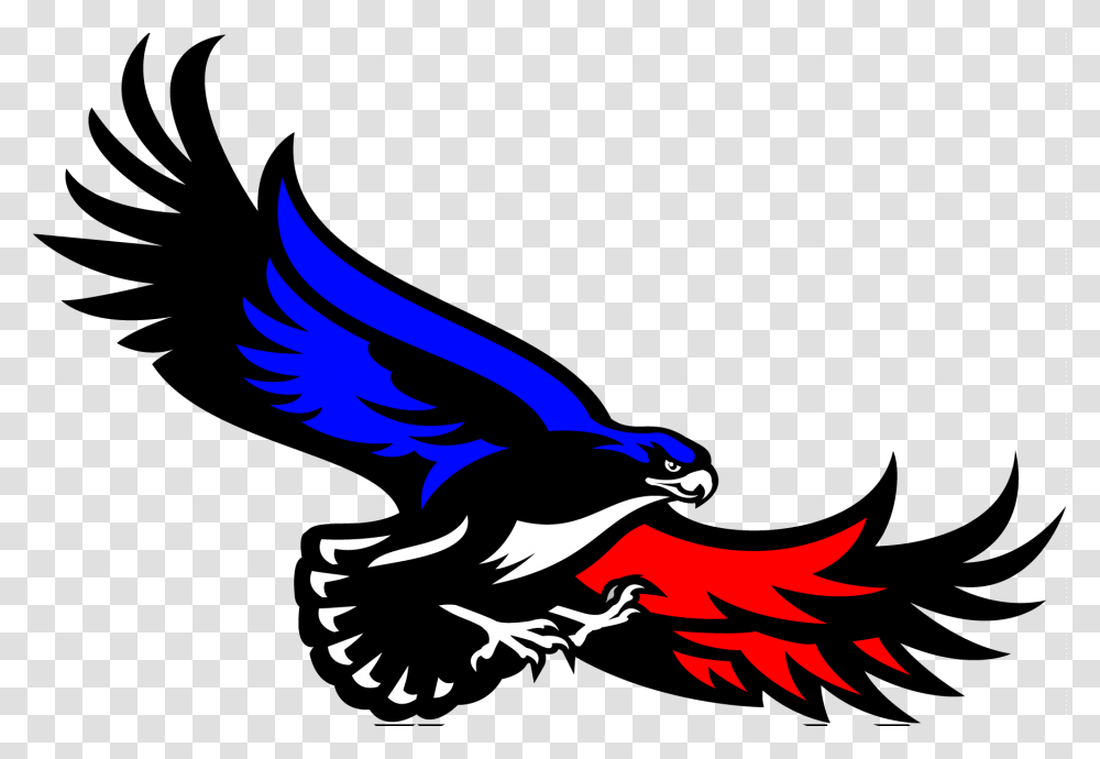 Doctors Charter School Logo, Bird, Animal, Jay, Flying Transparent Png