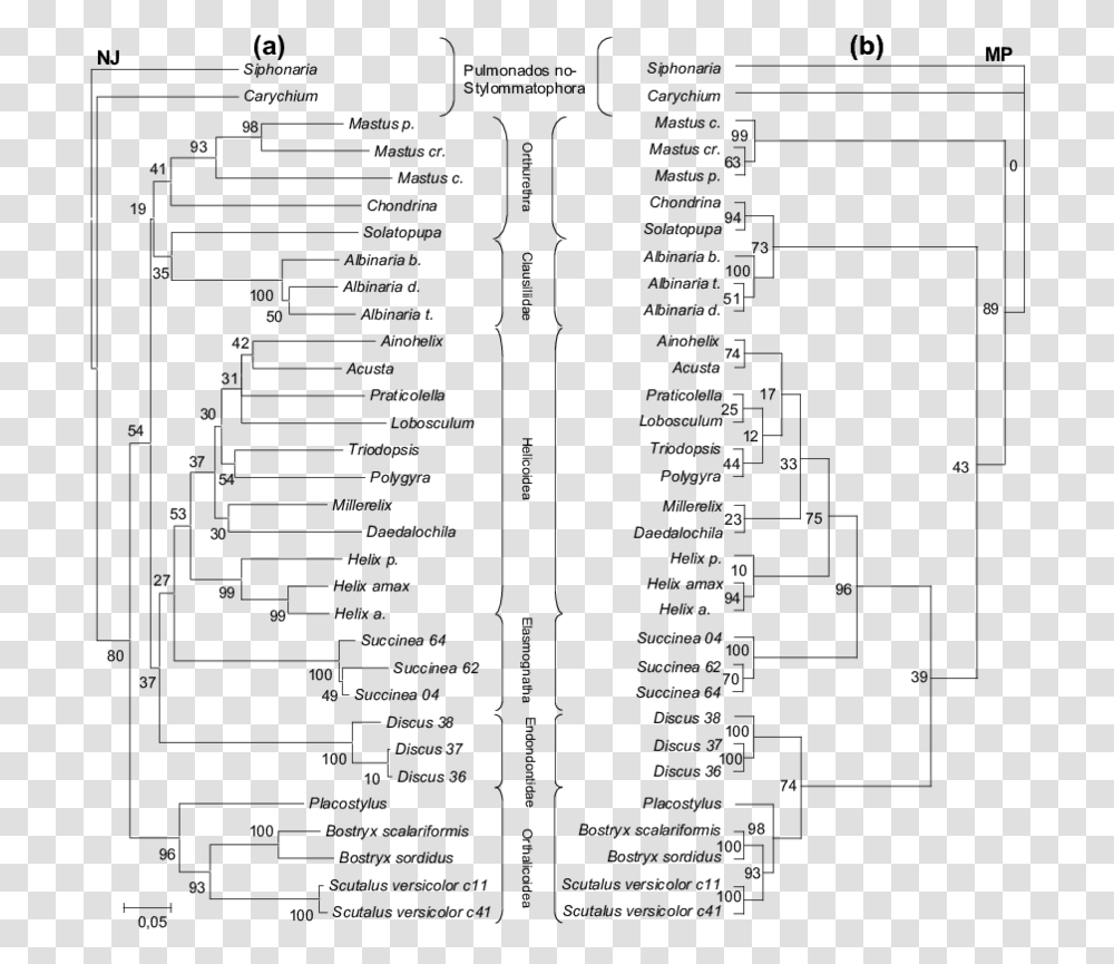 Document, Gray, World Of Warcraft, Outdoors Transparent Png