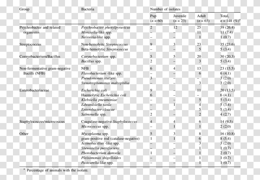 Document, Menu, Number Transparent Png