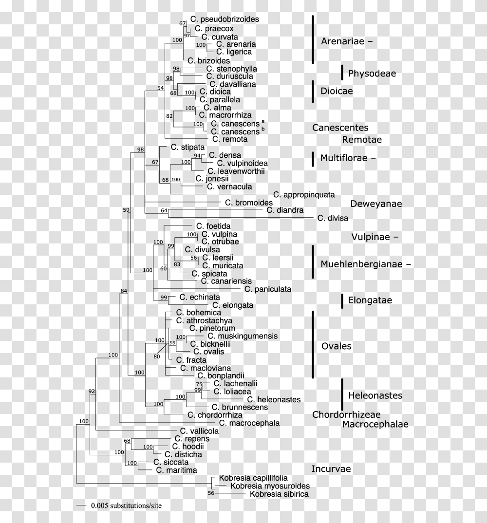 Document, Menu, Plan, Plot Transparent Png