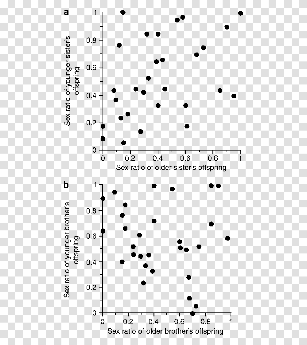 Document, Number, Plot Transparent Png