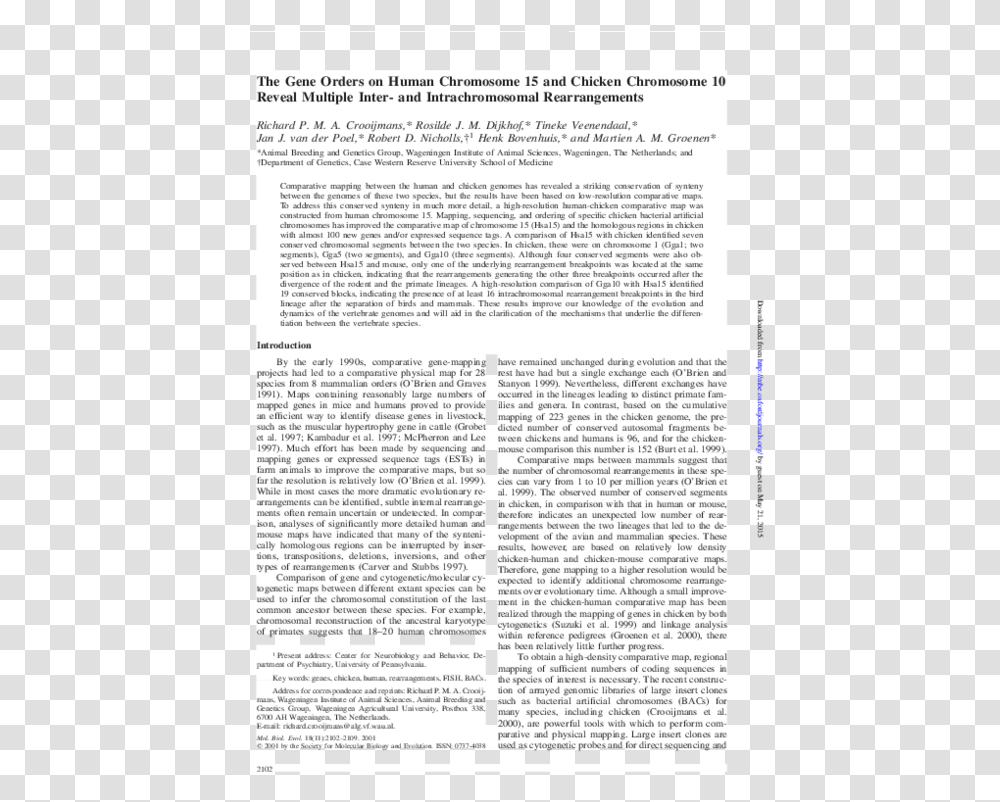 Document, Page, Paper, Poster Transparent Png