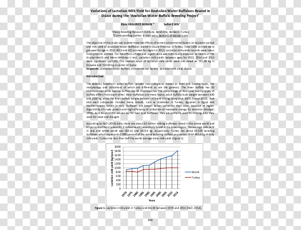 Document, Plot, Diagram, Measurements Transparent Png