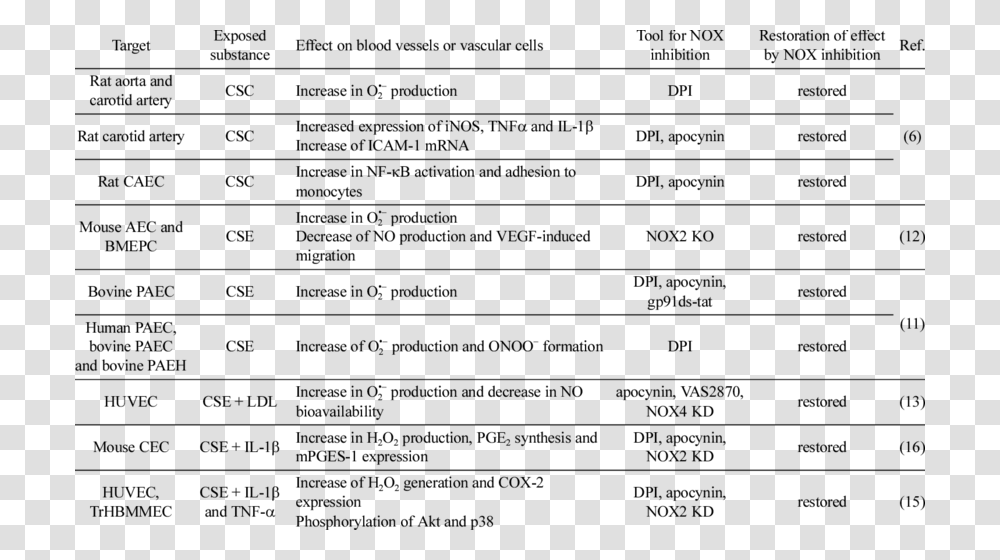 Document, Menu, Word, Number Transparent Png