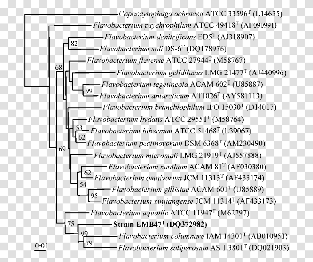 Document, Menu, Word, Plot Transparent Png