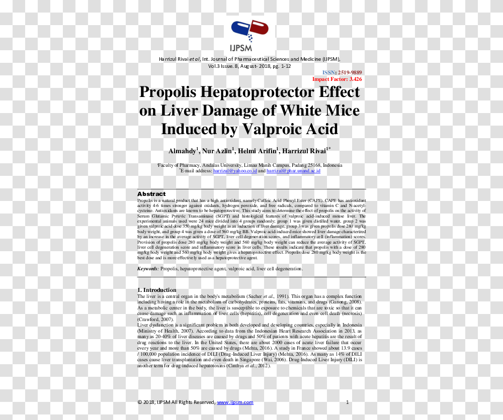 Document, Pac Man Transparent Png