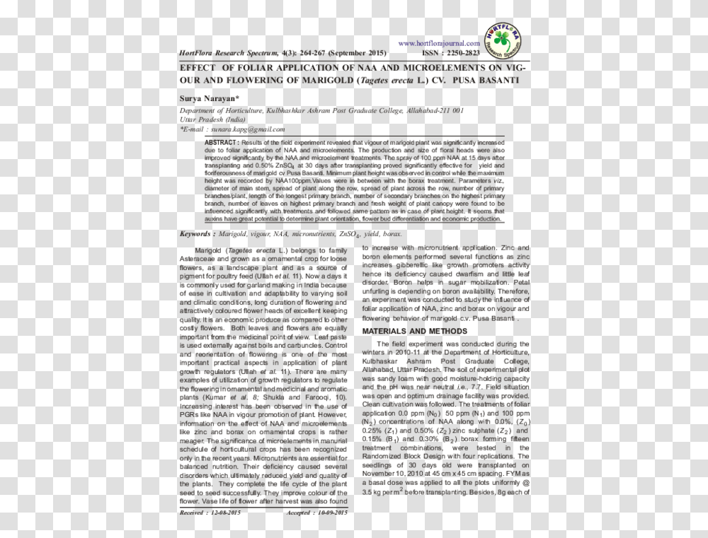Document, Page, Advertisement, Poster Transparent Png