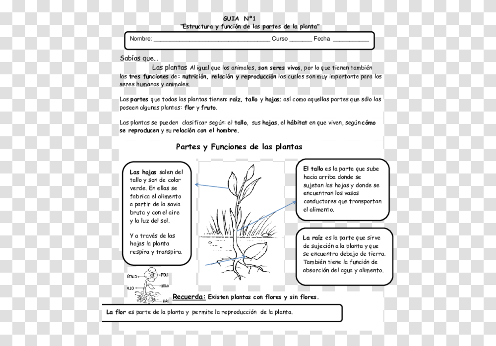 Document, Page, Plant, Menu Transparent Png