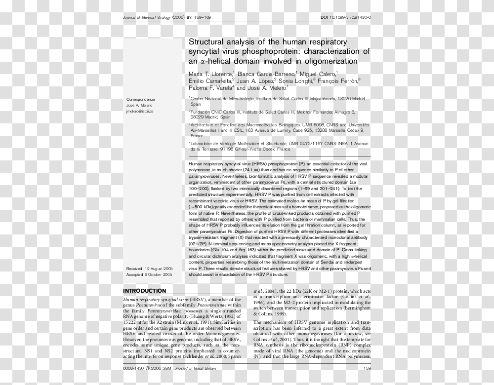 Document, Page, Word, Gray Transparent Png